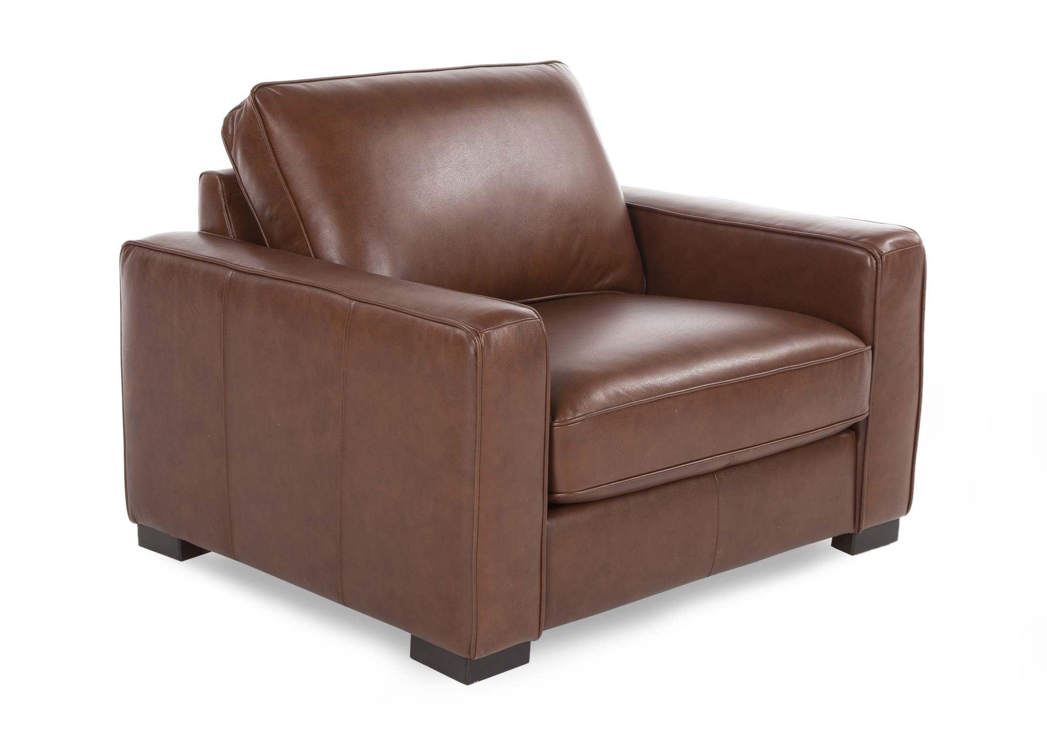 next darwin leather chair